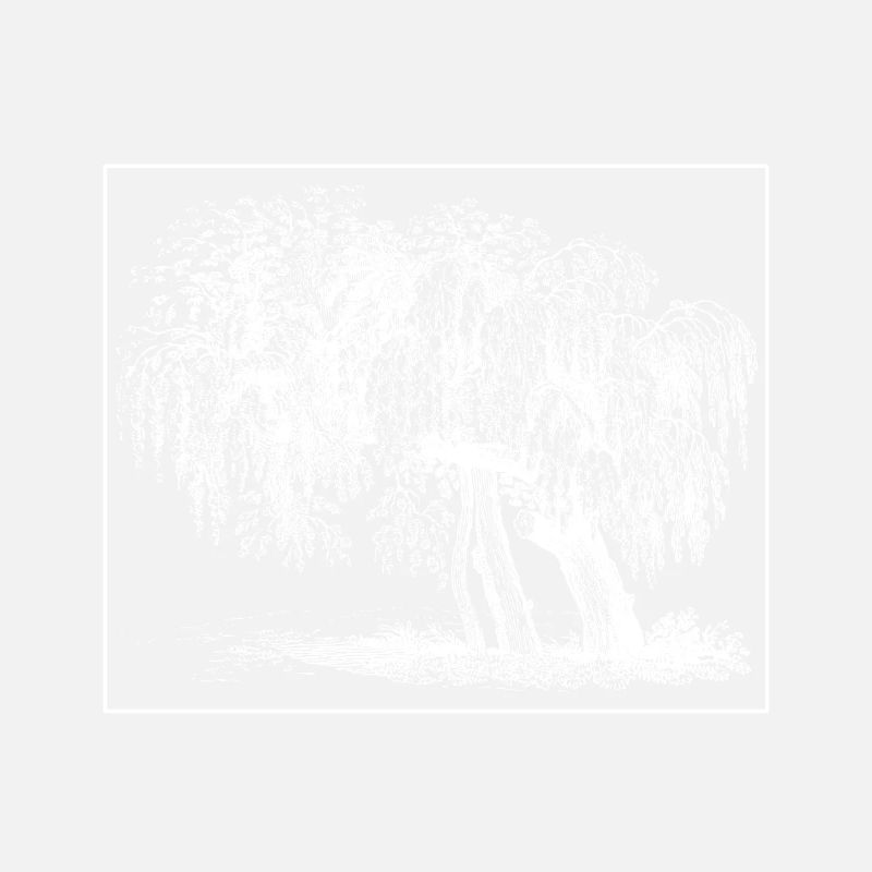 Arbre