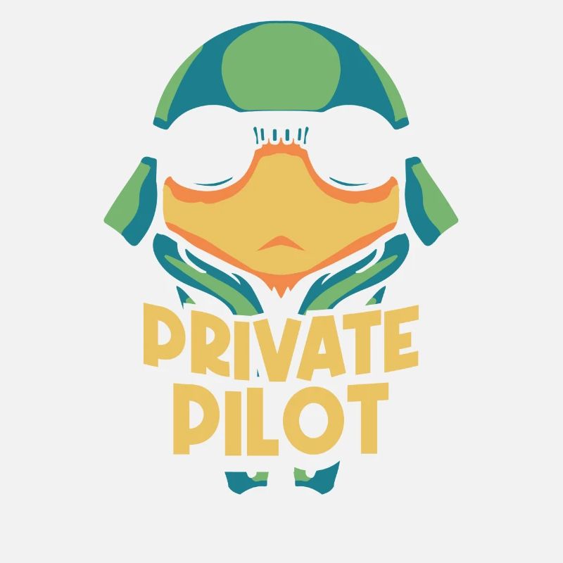 Privatpilot Jet Leichtflugzeug Kleinflugzeug