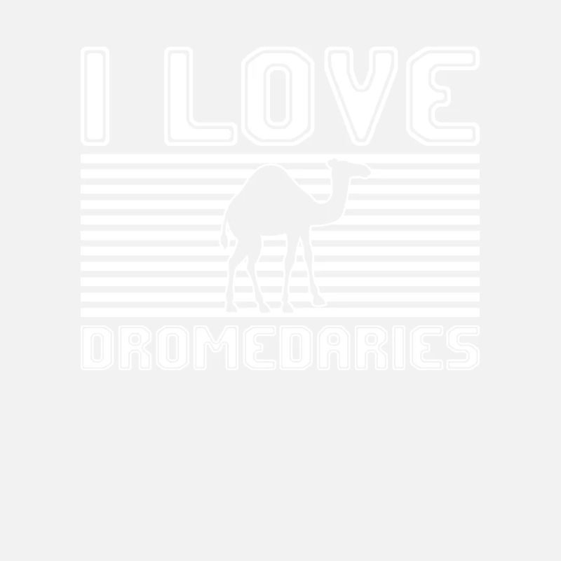 J’adore les dromadaires