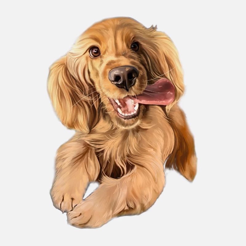 Jumping Cocker Spaniel