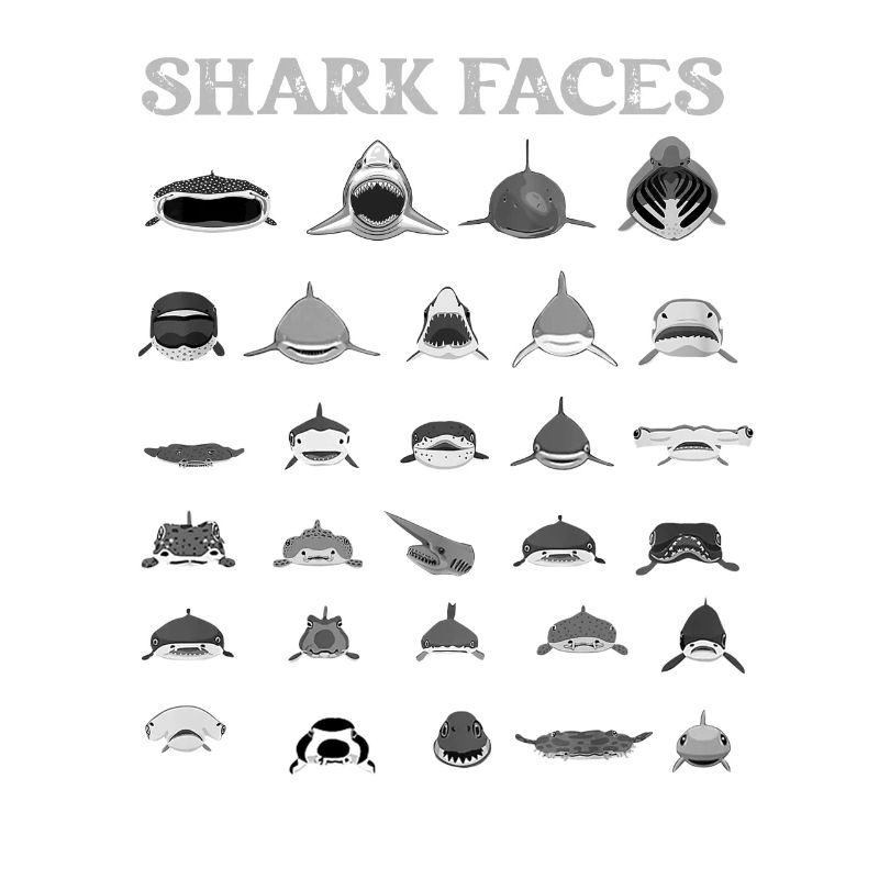 Types de visages de requin. Identification du visage du requin