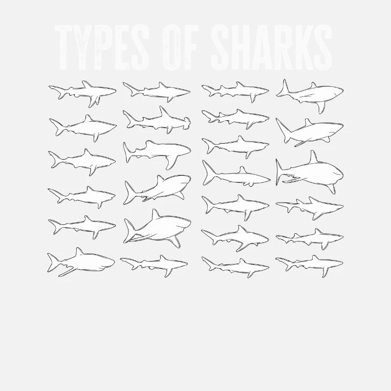 Types de requins