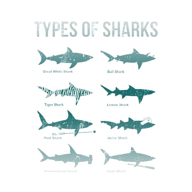 Types de requins