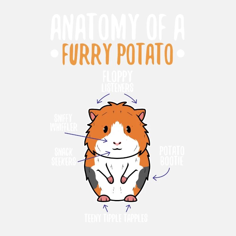Anatomie d’une pomme de terre à fourrure