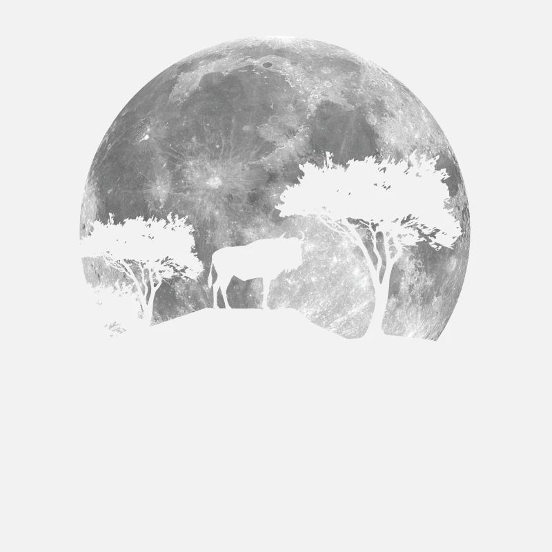 Wildebeest at night