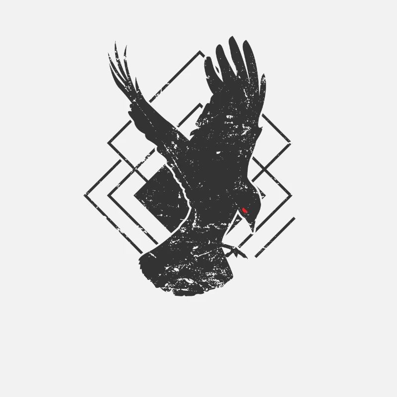 Rabe bei der Landung Krähe Tier Vogel