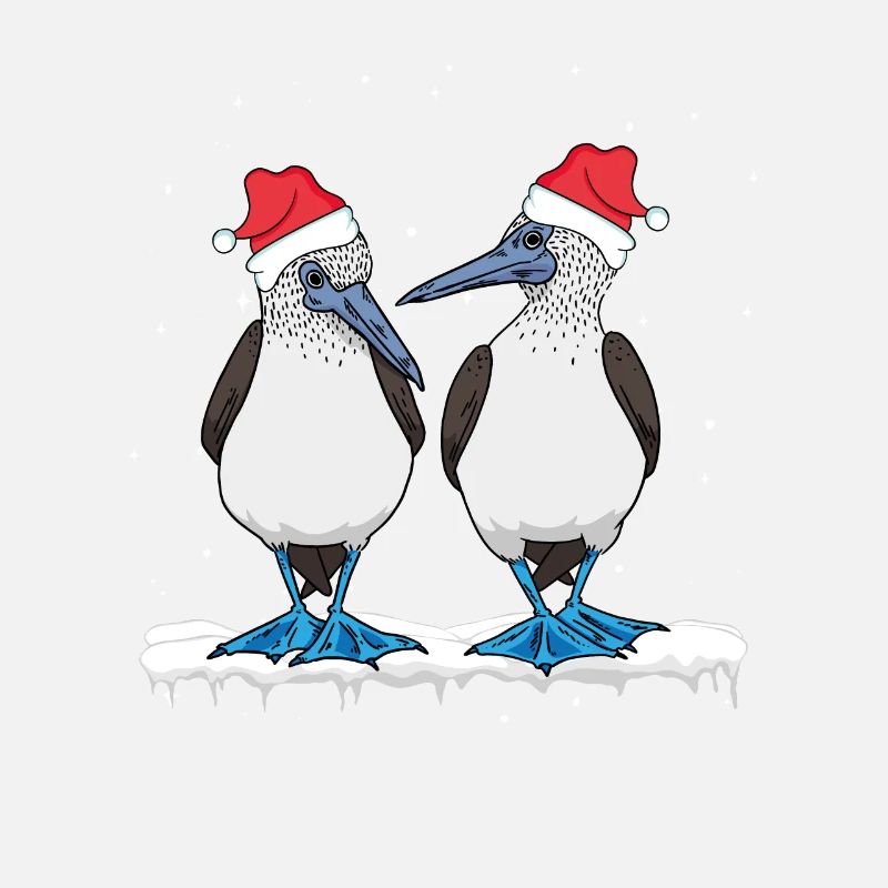 Seabirds Blue-footed