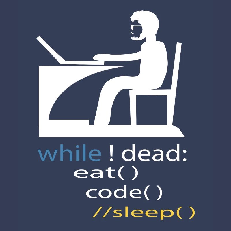 Softwareentwickler Programmierer Geschenk