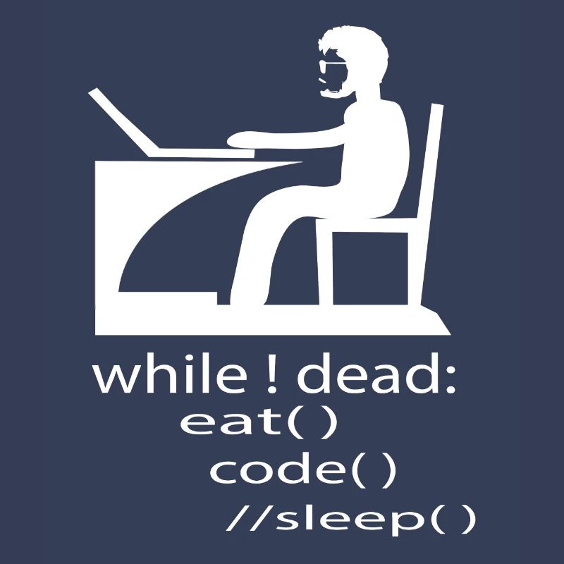 Software Developer Programmer Gift