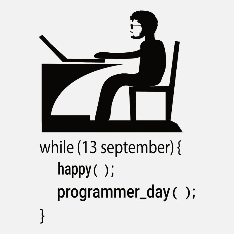 Softwareentwickler Programmierer Geschenk
