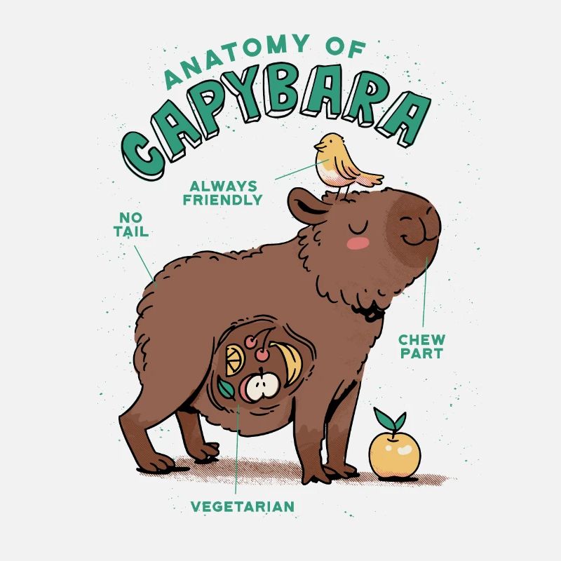 Anatomie Eines Capybara Süßes Capybara