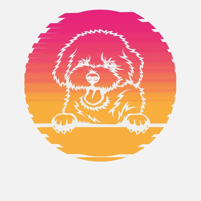 Bichon Frise