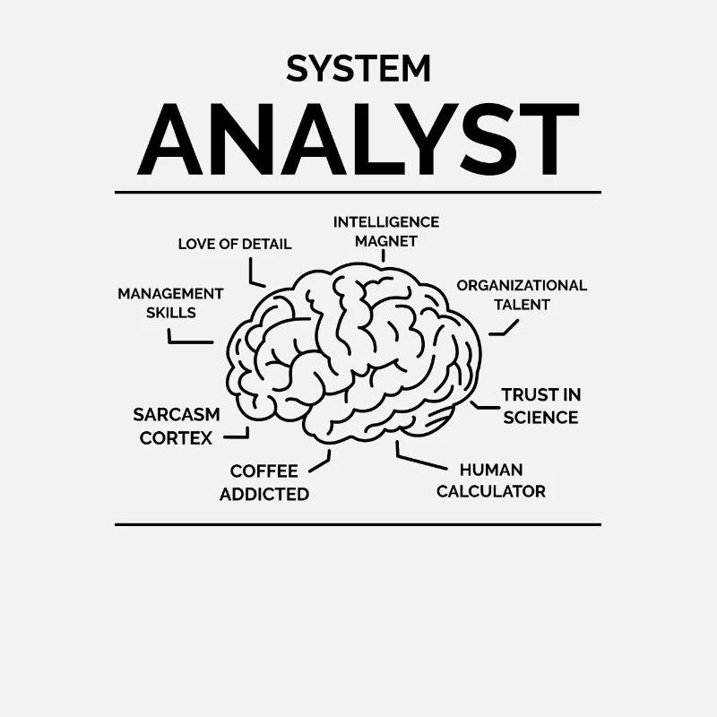 Analyste de systèmes