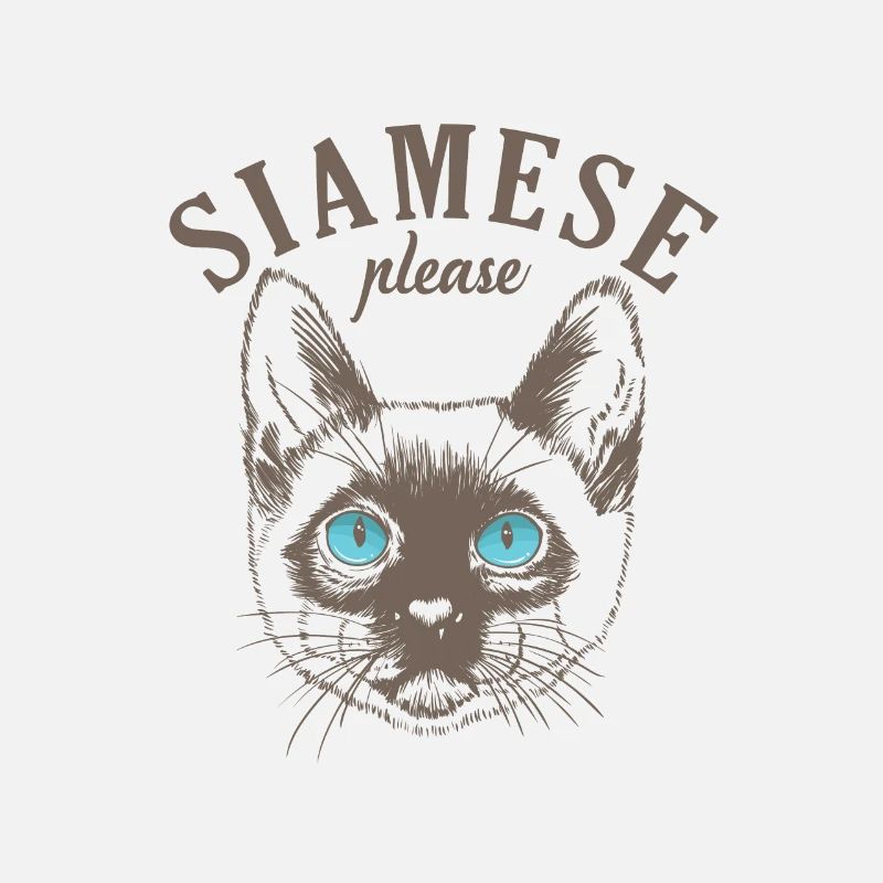 Siamese Cat please Pet Cat Breed