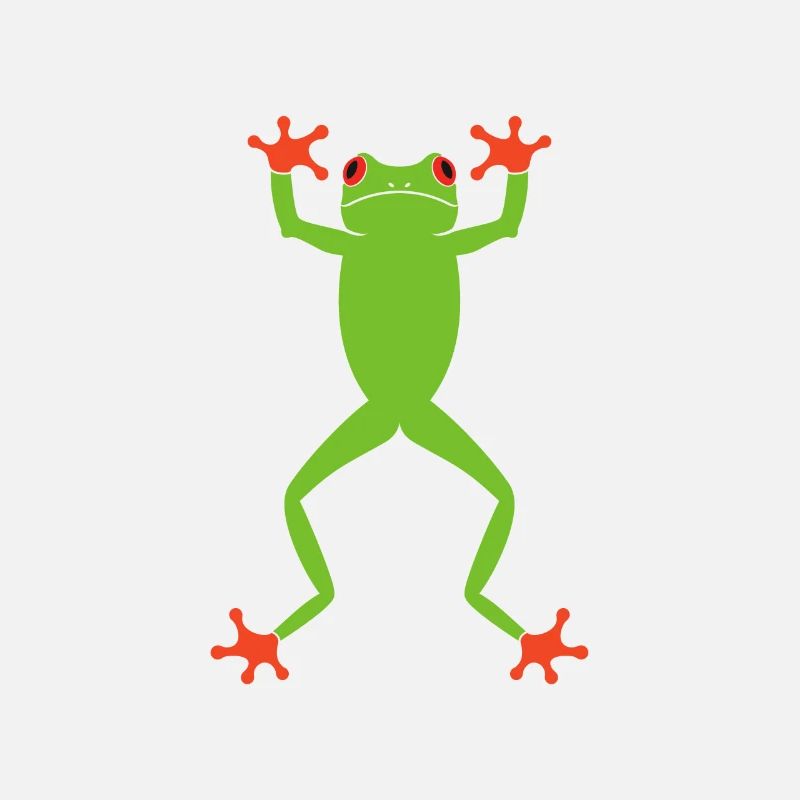 Agalychnis Callidryas Red Eyed Tree Frog