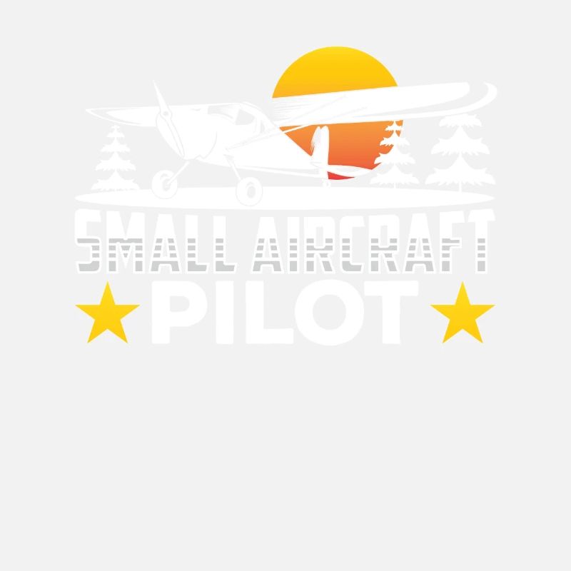 Pilot Eines Leichtflugzeugs Jet Kleinflugzeug
