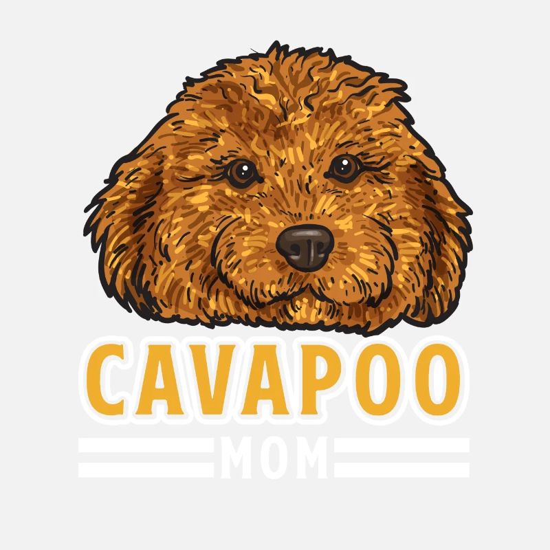 Cavapoo Cavoodle Capoodle Hund