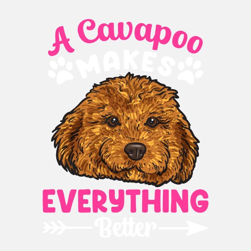 Cavapoo Cavoodle Capoodle Hund