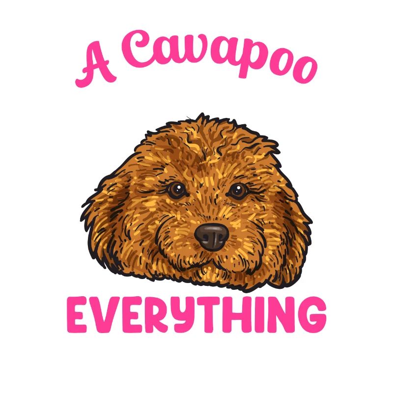 Cavapoo Cavoodle Capoodle Dog
