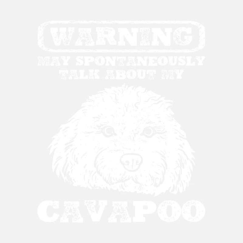 Cavapoo Cavoodle Capoodle Chien