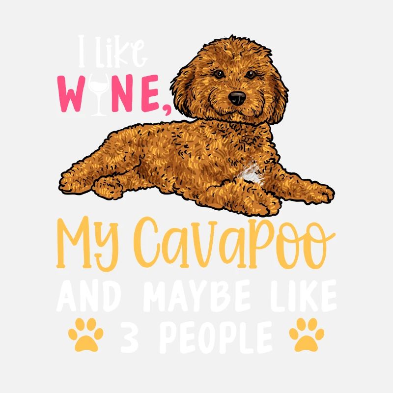 Cavapoo Cavoodle Capoodle Chien