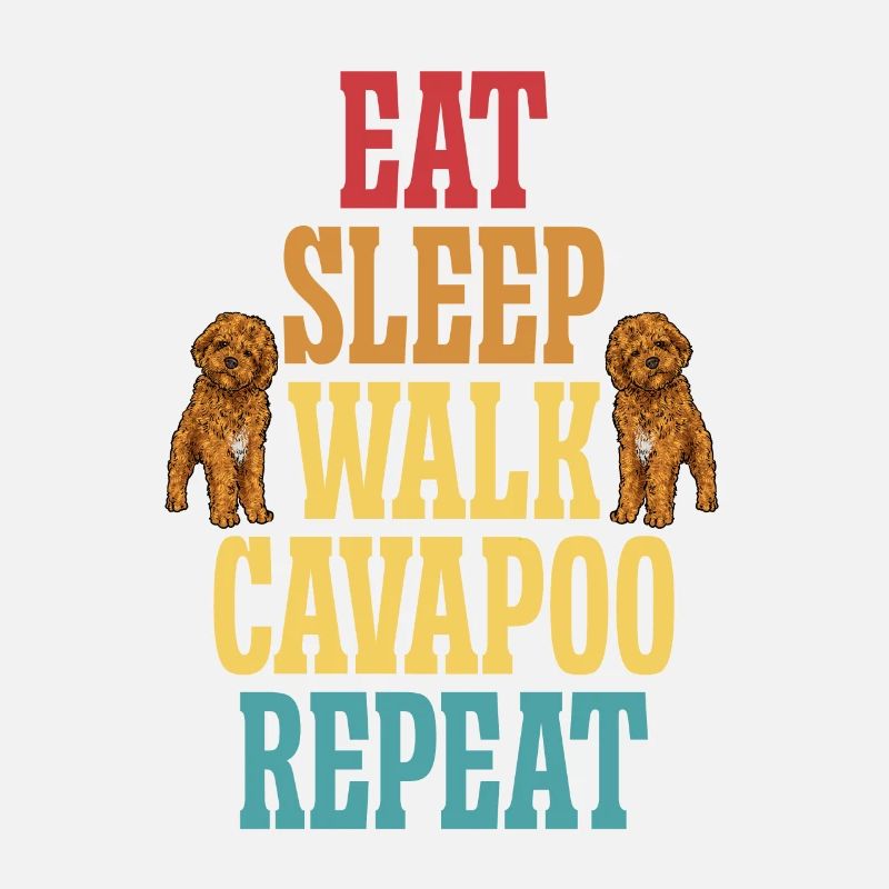 Cavapoo Cavoodle Capoodle Chien