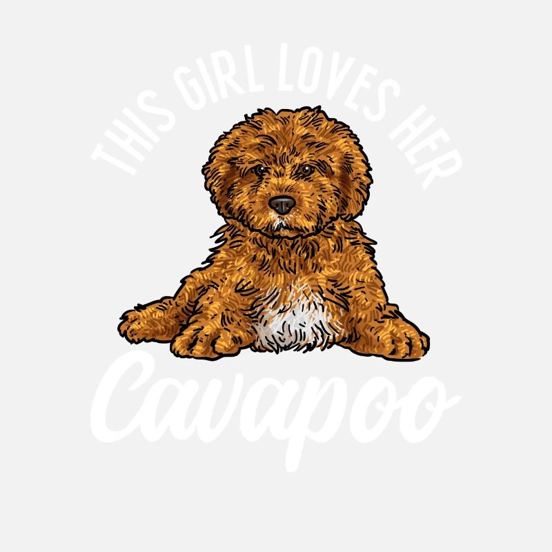 Cavapoo Cavoodle Capoodle Hund