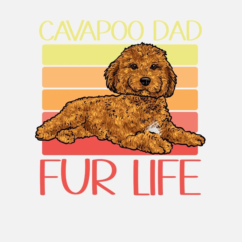Cavapoo Cavoodle Capoodle Chien