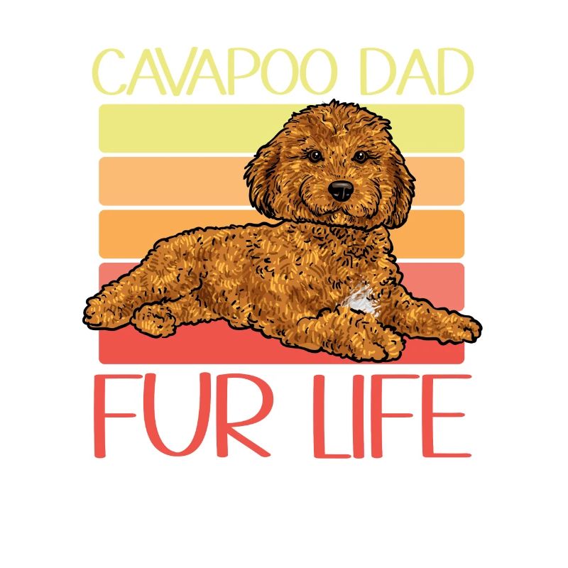 Cavapoo Cavoodle Capoodle Dog