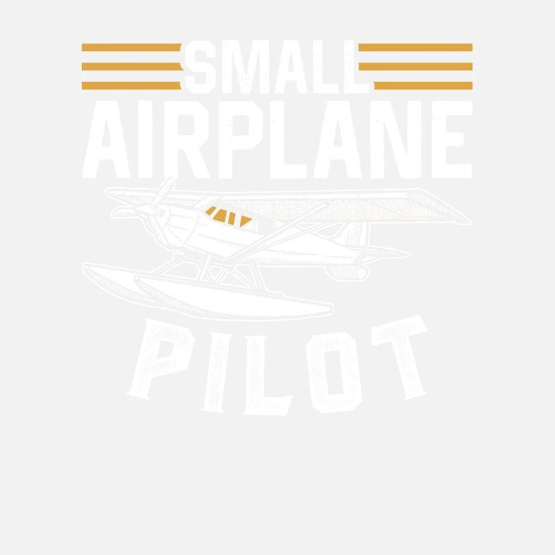 Pilot Eines Kleinflugzeugs Jet Kleinflugzeug
