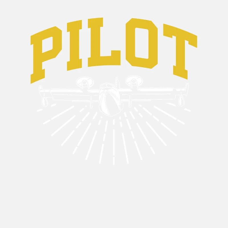Pilot Privatflugzeug Leichtflugzeug Kleinflugzeug