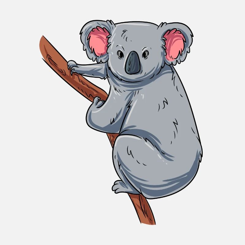 Escalade du koala