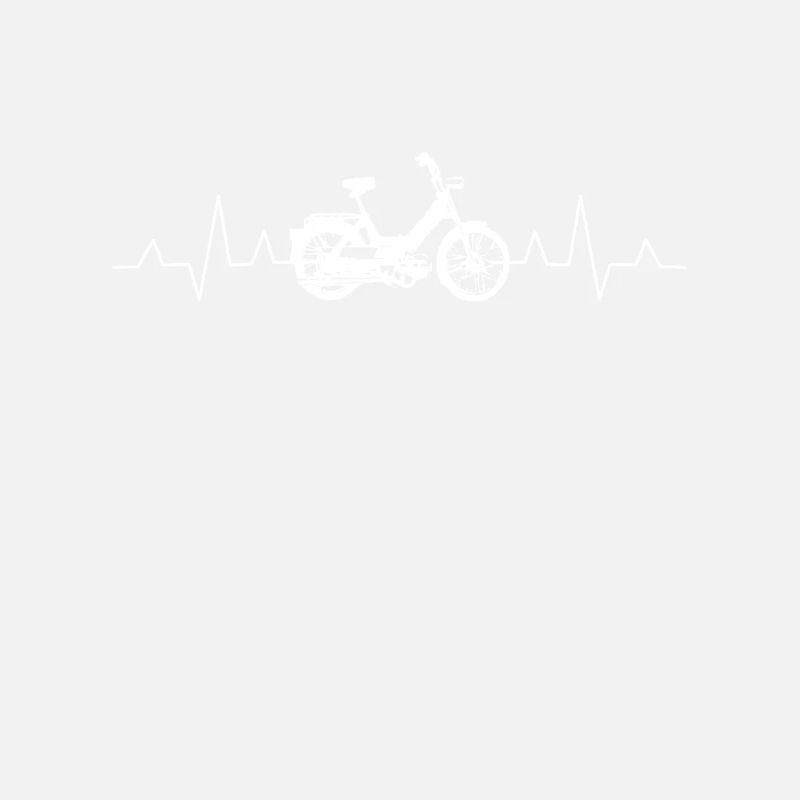 DDR Moped Oldtimer Roller Mofa Scooter 2 Takter
