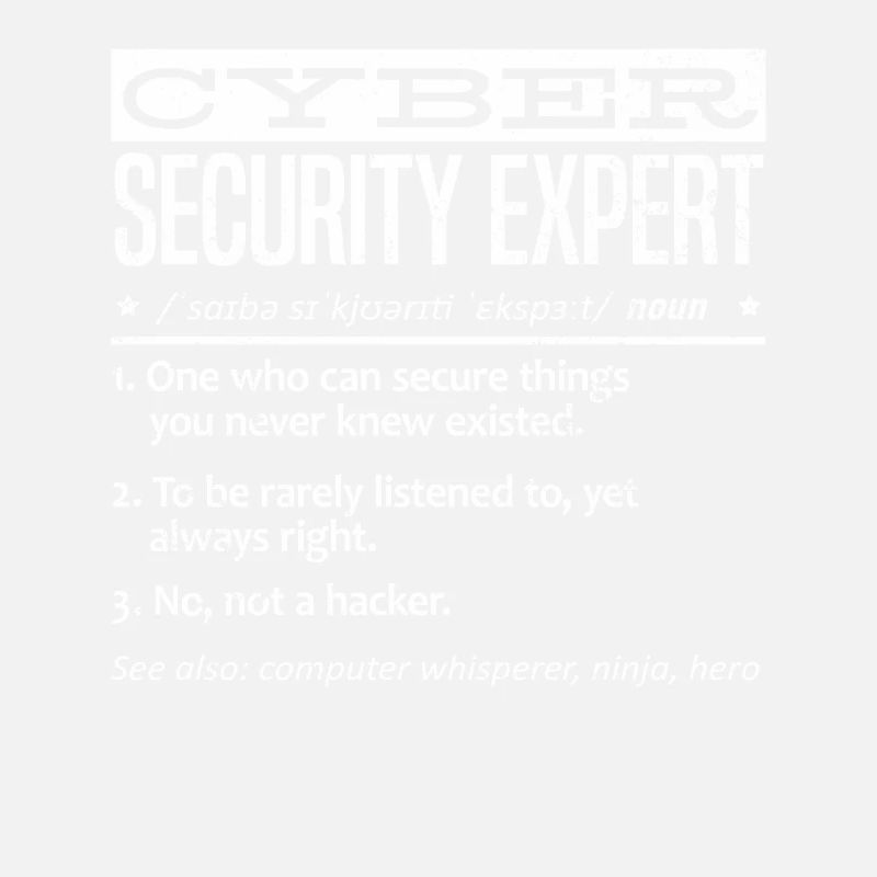 Cybersecurity Expert