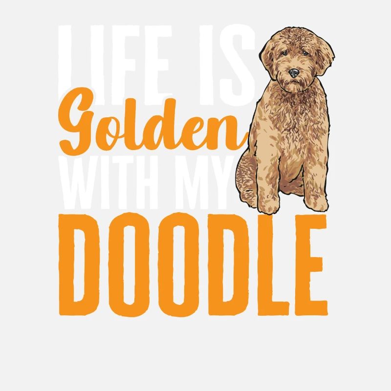 Goldendoodle Doodle Chien