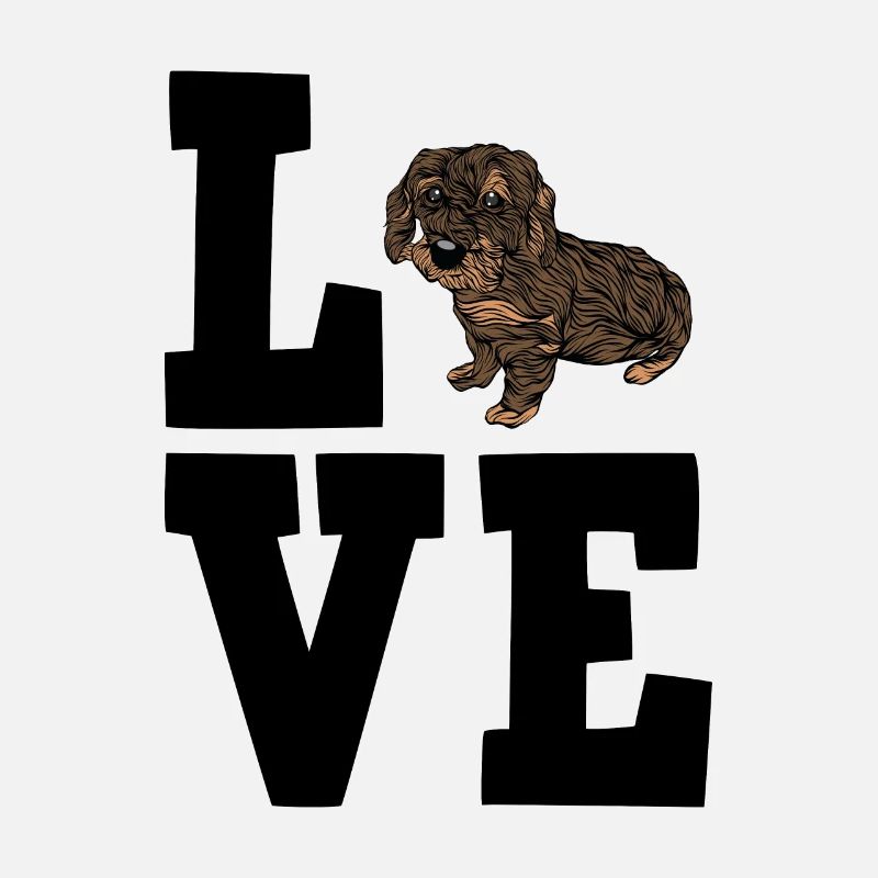Wire-haired dachshund