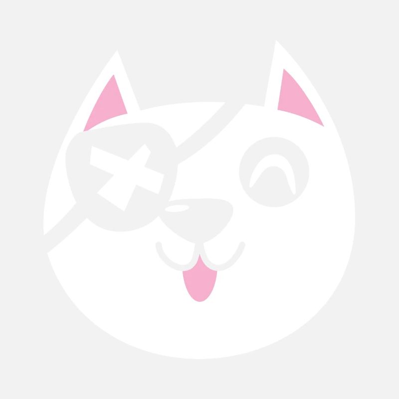 Pirate Cat