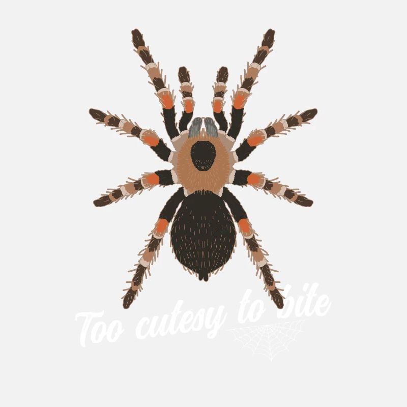 Tarentule Araignée Tarentule Tarentule Tarentule Cadeau