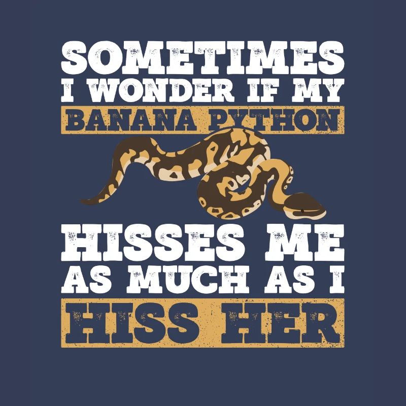 Banana Ball Python Königsphython