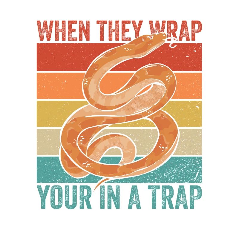 Königspython Bananenkugel Python