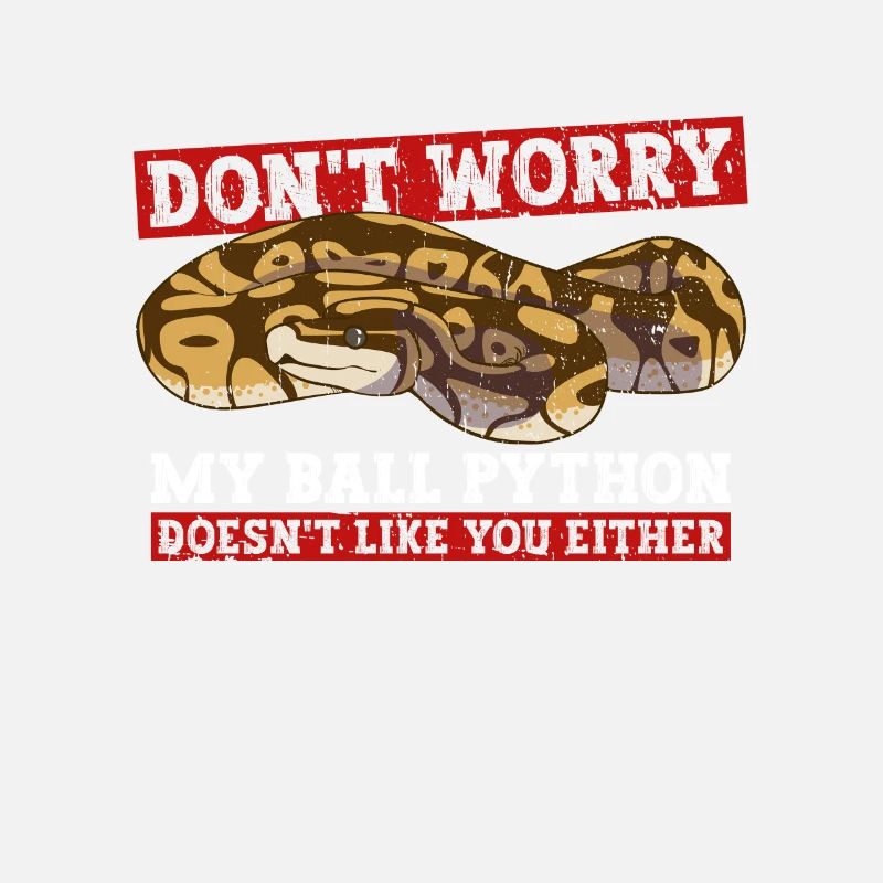 Königspython Bananenkugel Python