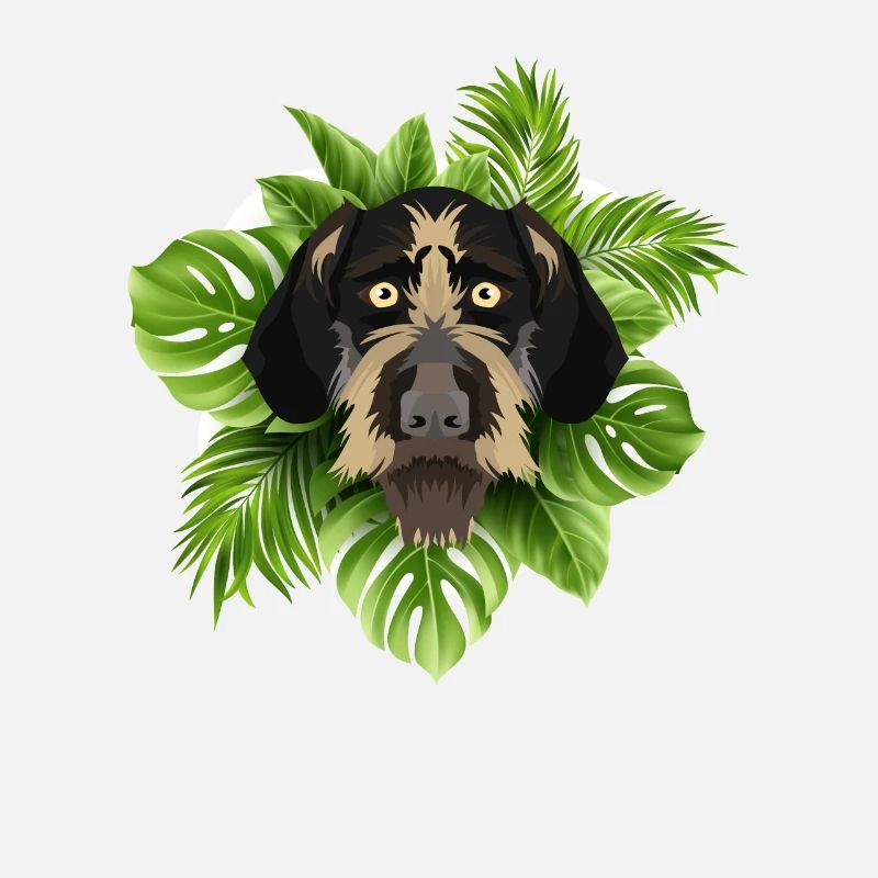 Tropical Deutsch Drahthaar