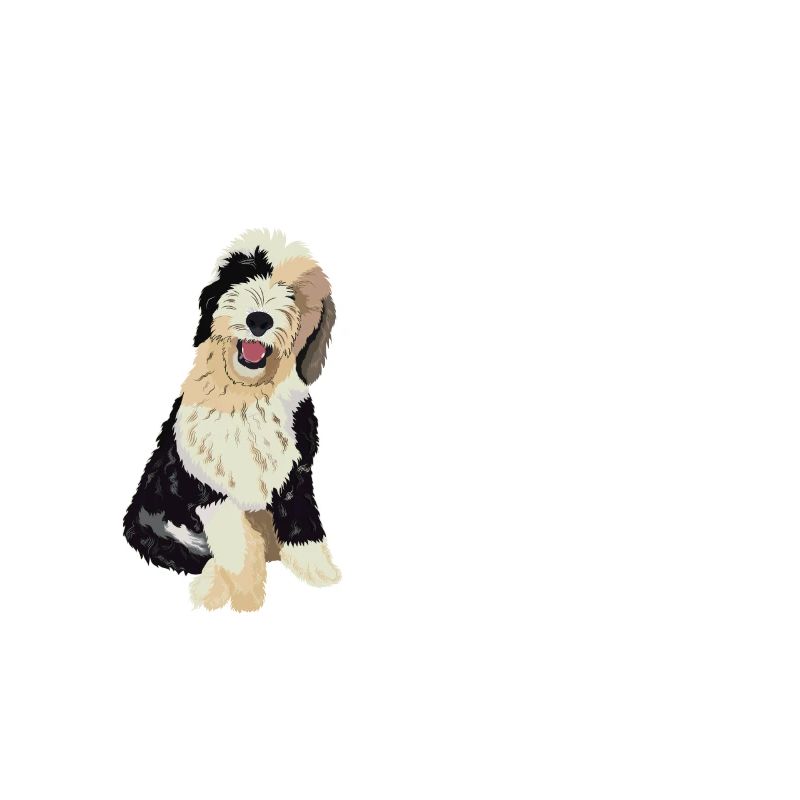 Sheepadoodle Doodle Dog