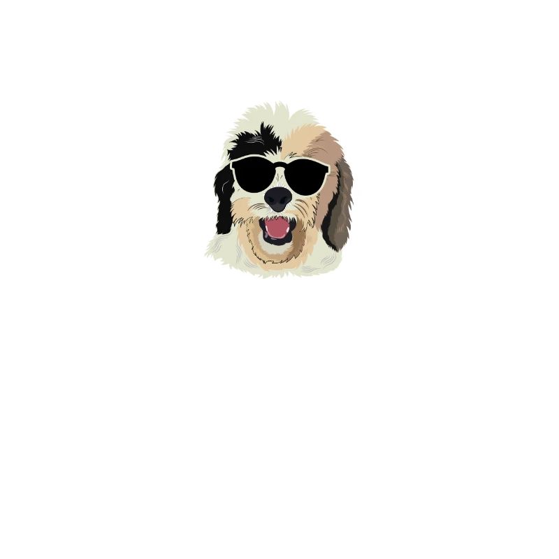 Sheepadoodle Doodle Dog