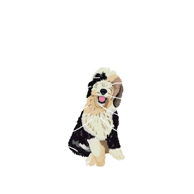 Sheepadoodle Doodle Dog