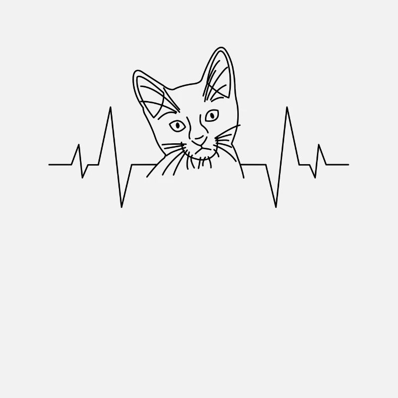 Cœur de chat de chat