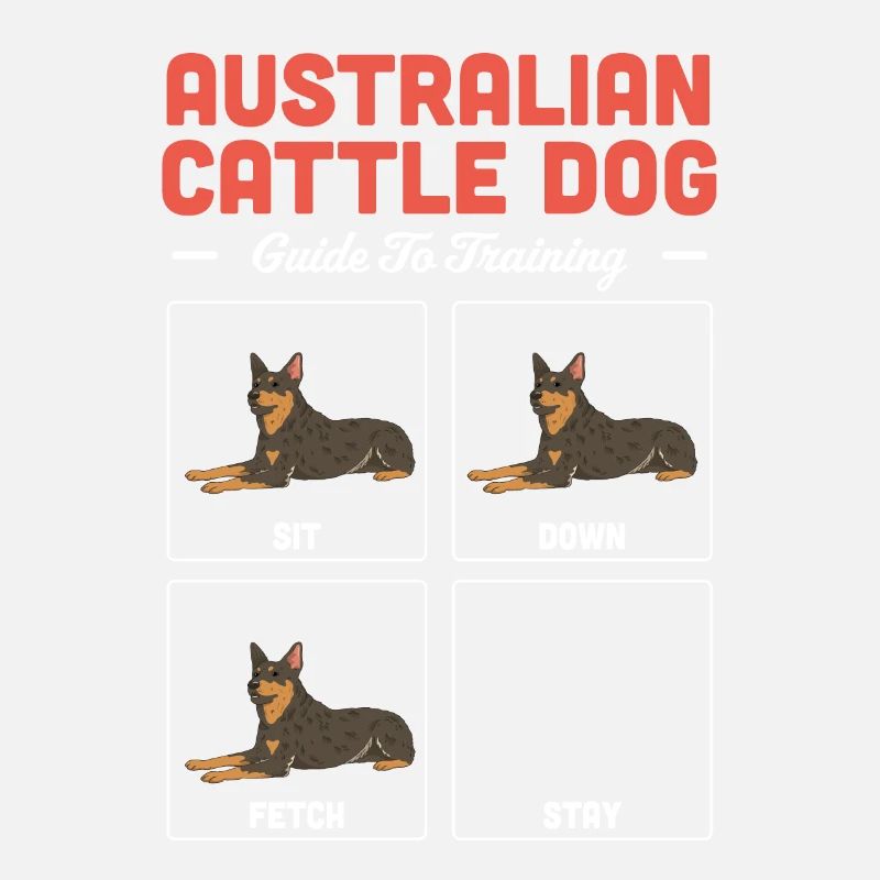 Bouvier australien