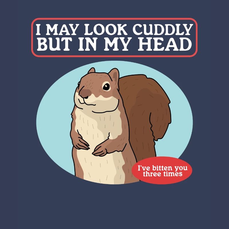 Cute Squirrel Squirrel Grey Squirrel Gift