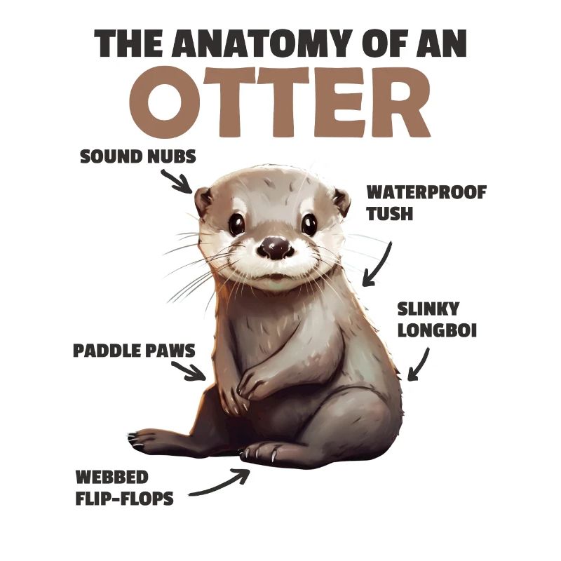 Explication de la loutre douce Anatomie d’une loutre