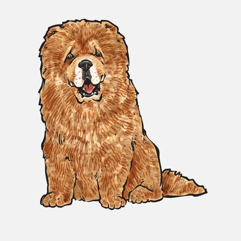 Chow Chow Hund